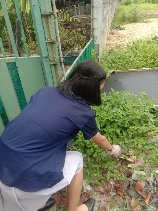 จิตอาสา