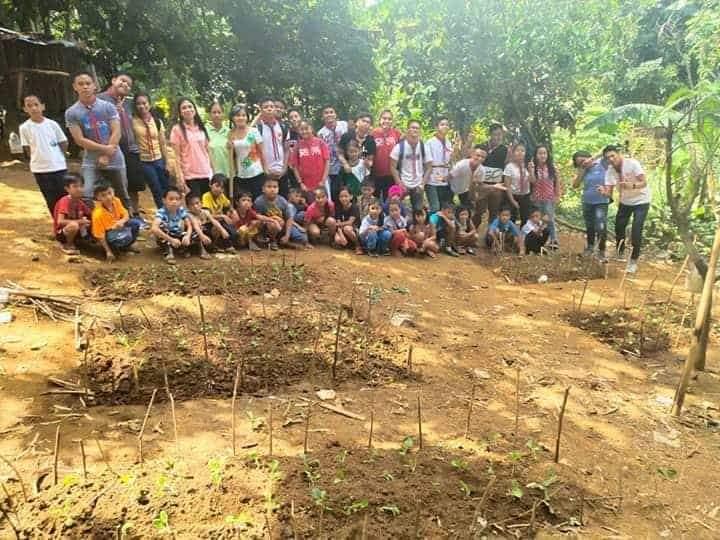 Tanim gulay para sa kabuhayan 