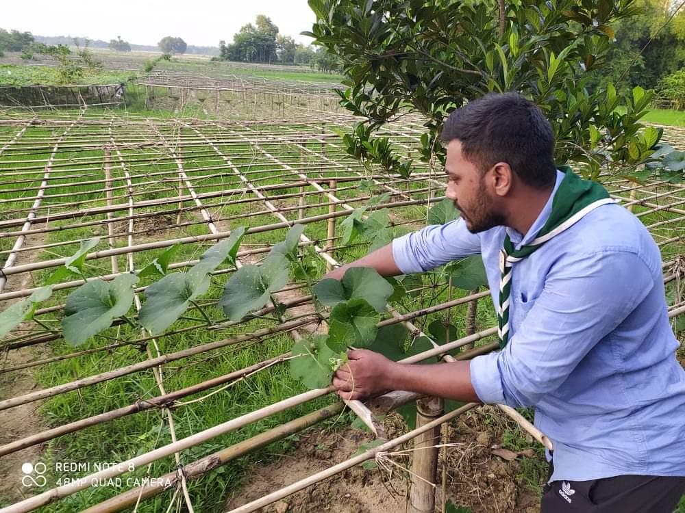 সবজি গাছের পরিচর্যা