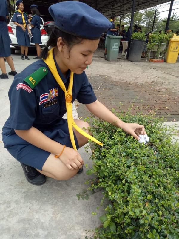 เก็บขยะในหญ้า