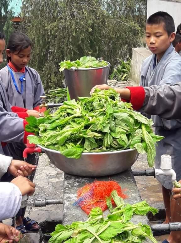 Pot Vegetable Farming