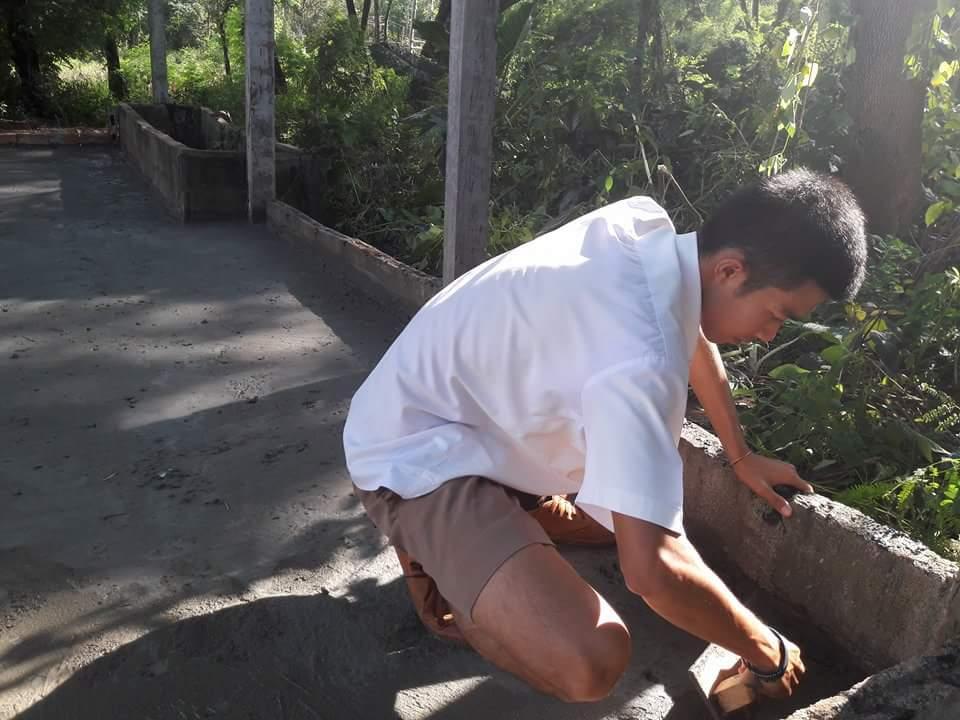 ฉาบปูน