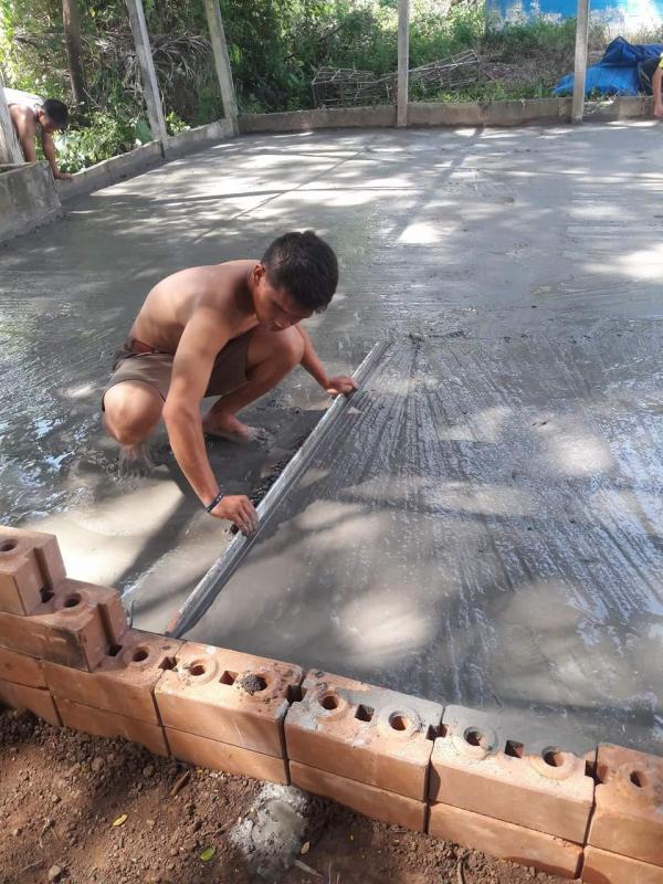 ฉาบปูนทำเรือนเพาะชำ