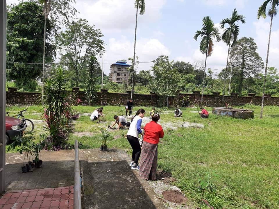 social forestry day 