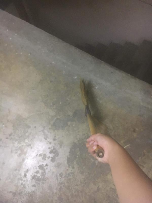 กวาดพื้น