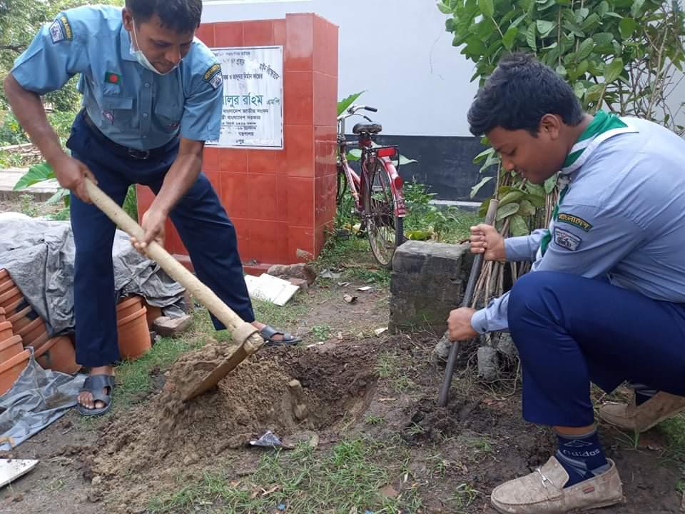 Tree plantation 