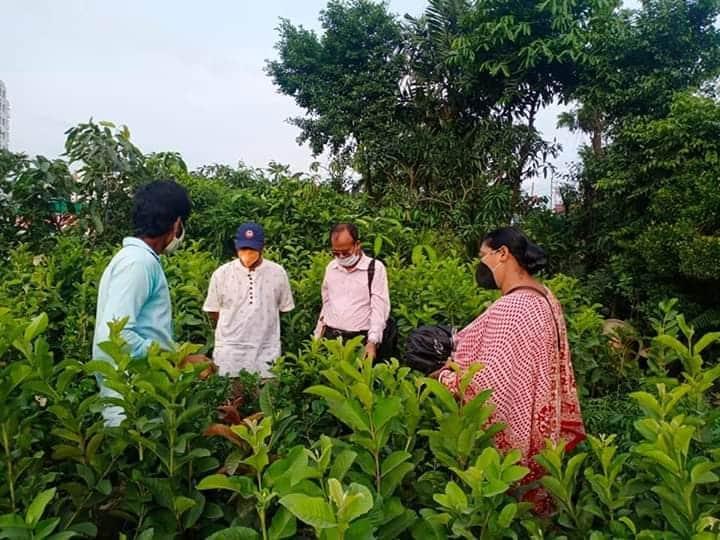 বৃক্ষ রোপন কর্মসূ‌চি