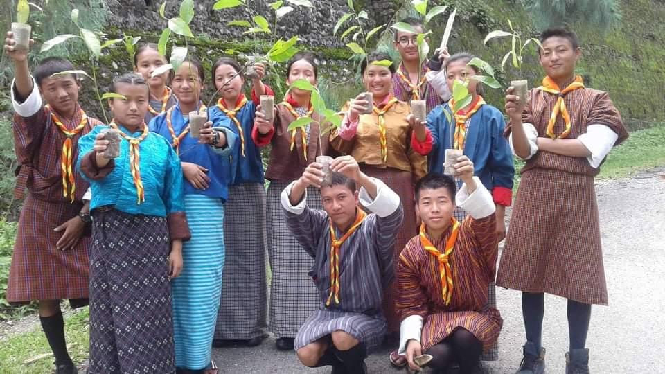 Hand to save the trees