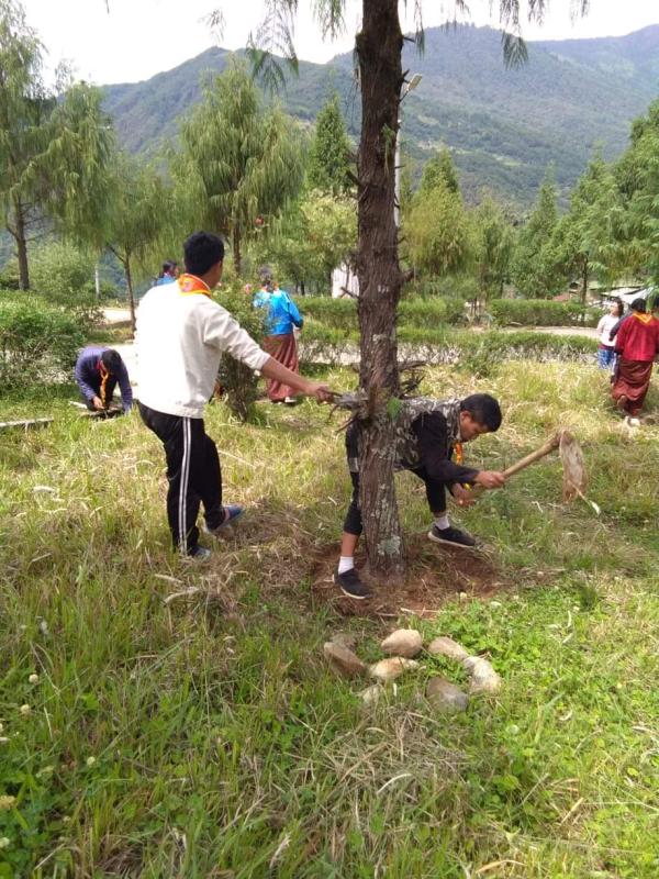Celebrating social forestry day