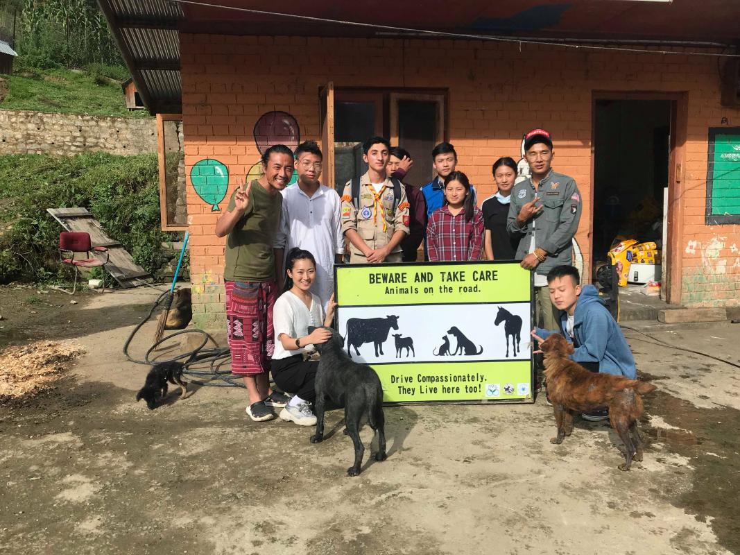 Creating a homely environment for animals