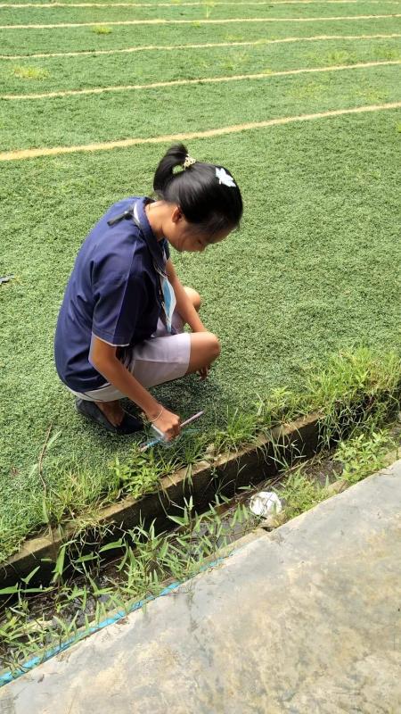 จิตอาสาเก้บขยะที่วิทยาลัยอาชีวศึกษาเทอโนโลยีเอเชีย