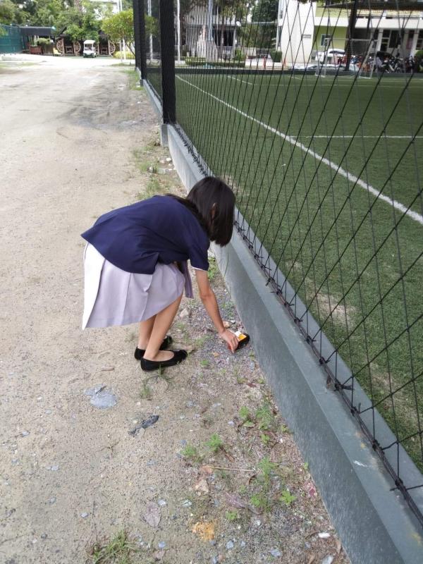 เก็บขยะโรงเรียน