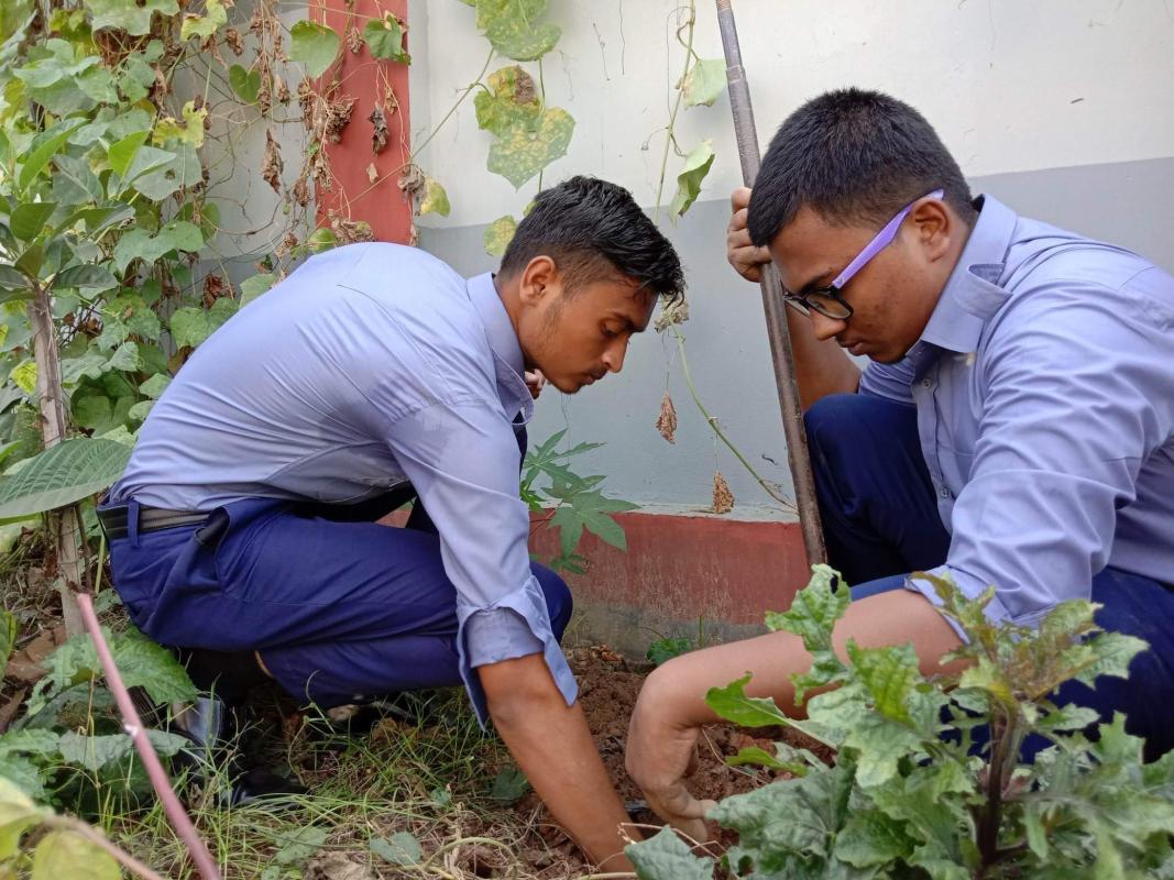 গাছ লাগান পরিবেশ বাঁচান