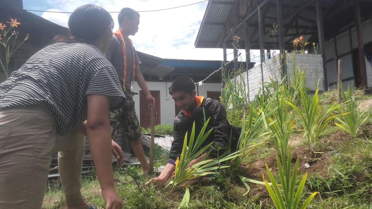 Volunteer service 