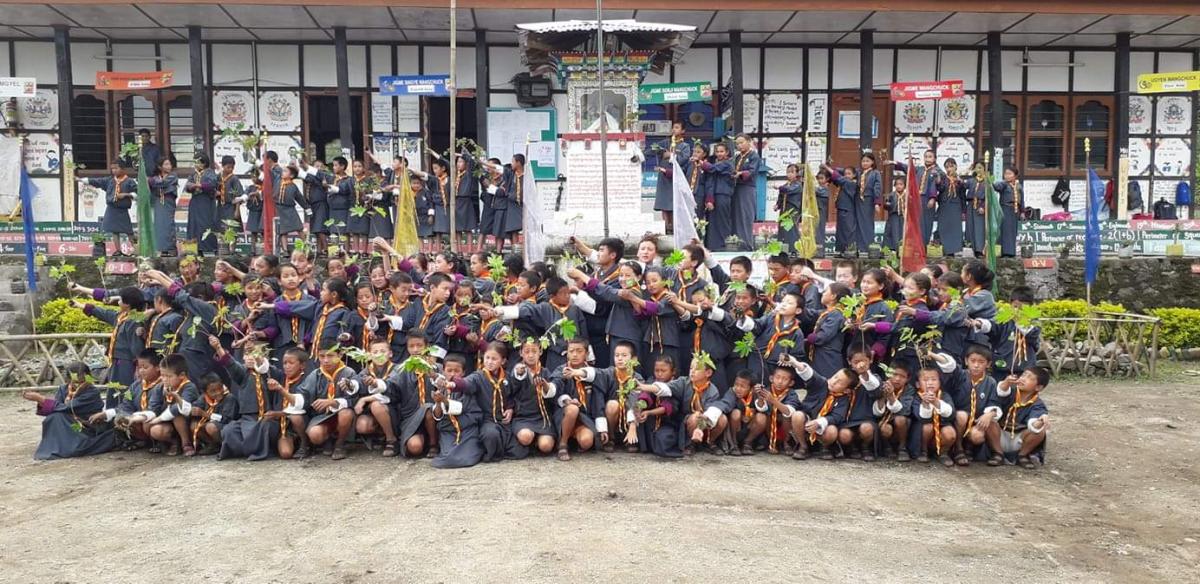 One Scout one plant for SDG