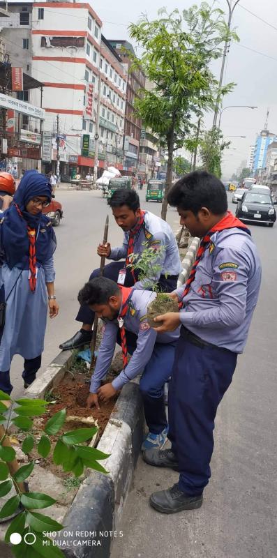 রাস্তার পাশে বৃক্ষরোপন কর্মসূচী   