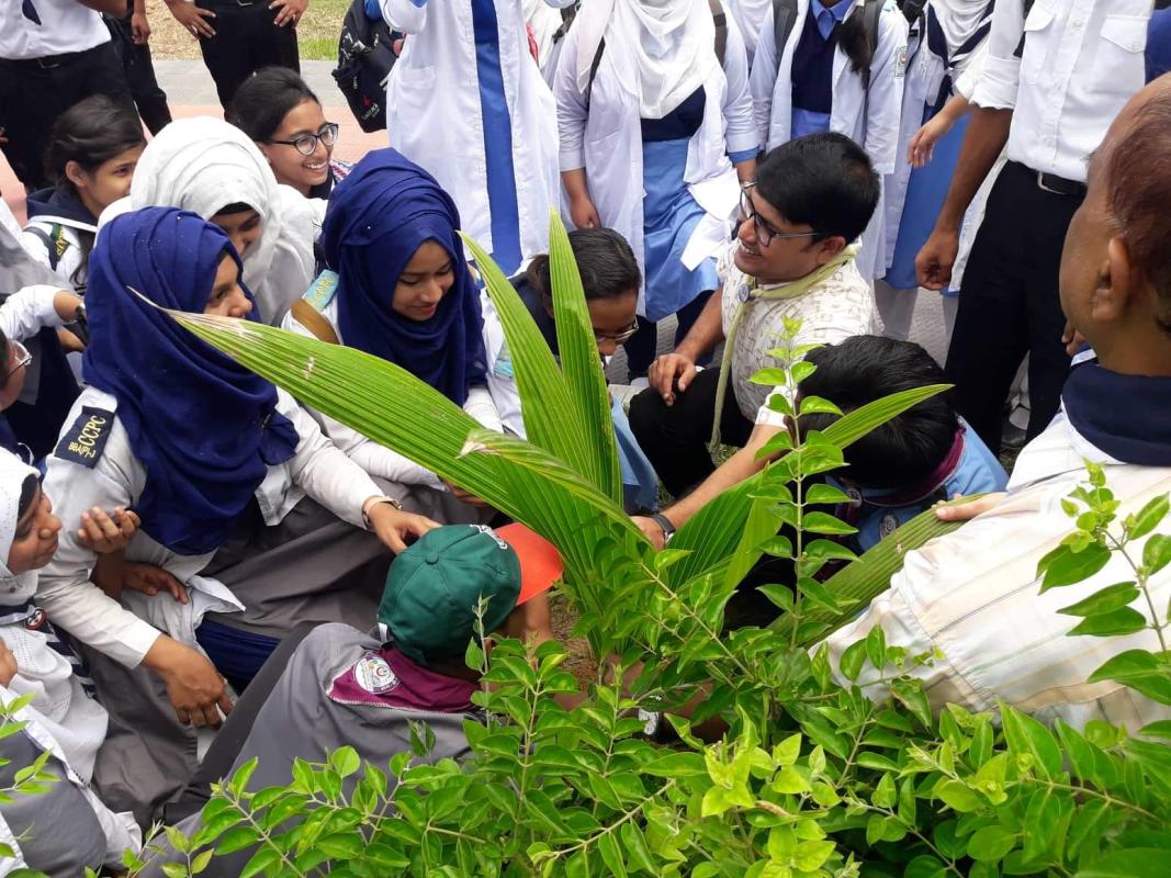 Tree Plantation 