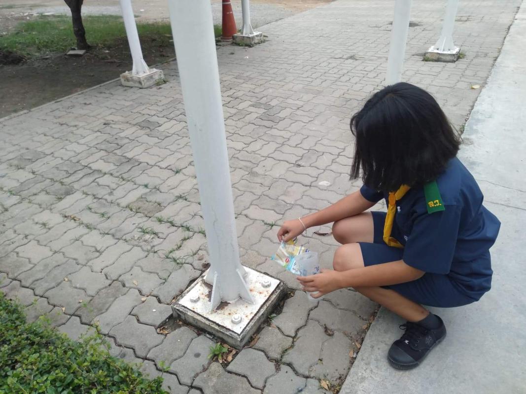 บำเพ็ญประโยชน์โดยการเก็บขยะในสถานศึกษา
