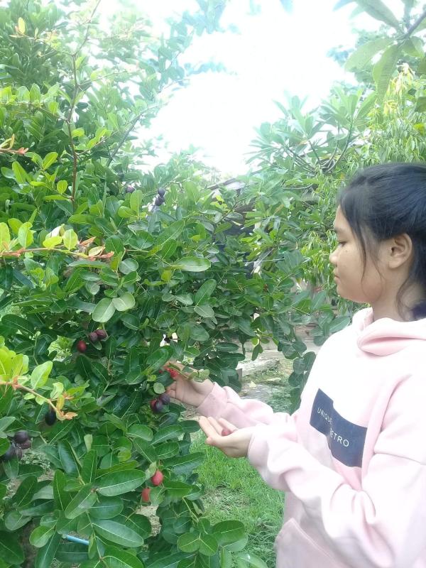 กิจกรรมบำเพ็ญประโยชน์
