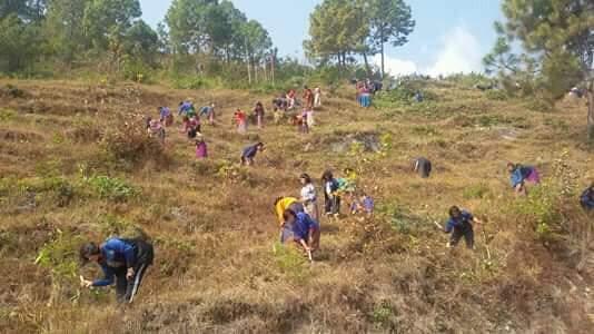 grass cutting volunteer