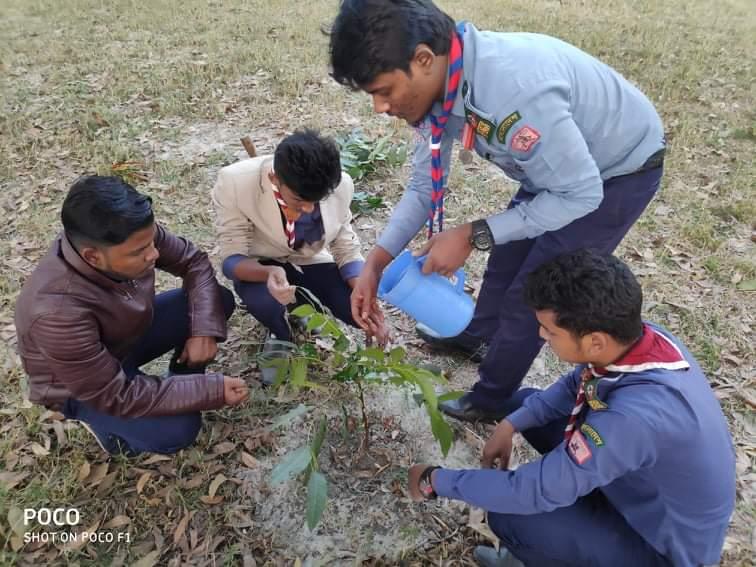 Rree plantation 2018, Bangladesh