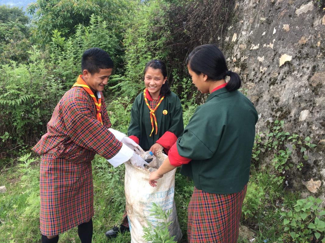 cleaning campaign