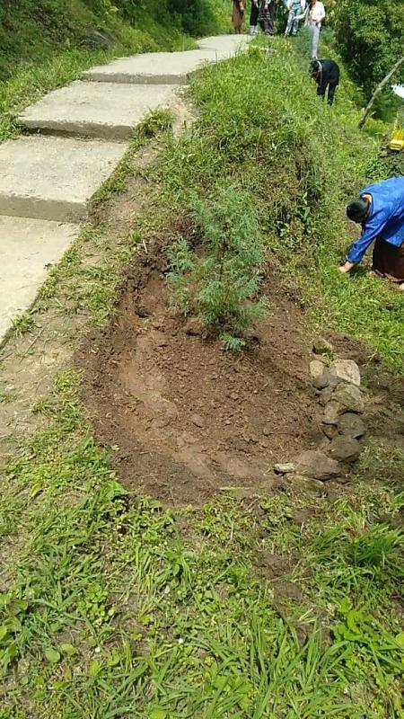 Green Shool for Green Bhutan