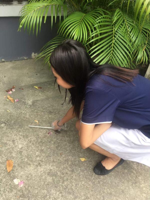 เก็บขยะ