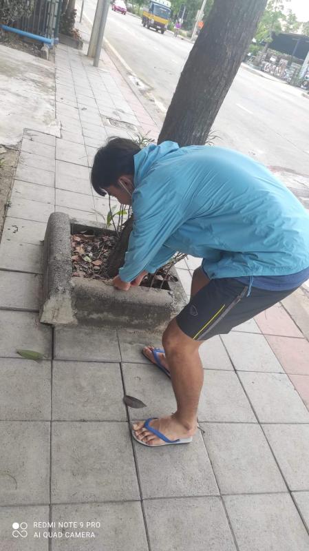 เก็บขยะ