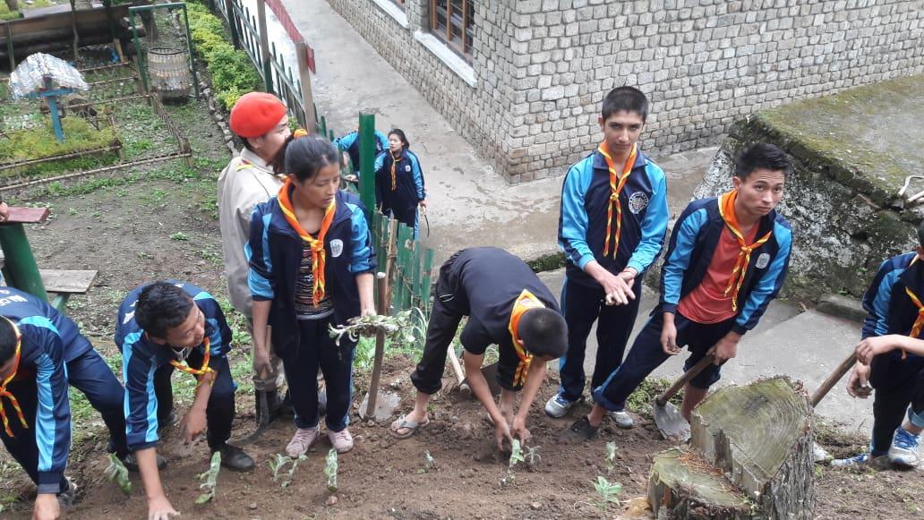 Daga Scout Peace Garden 
