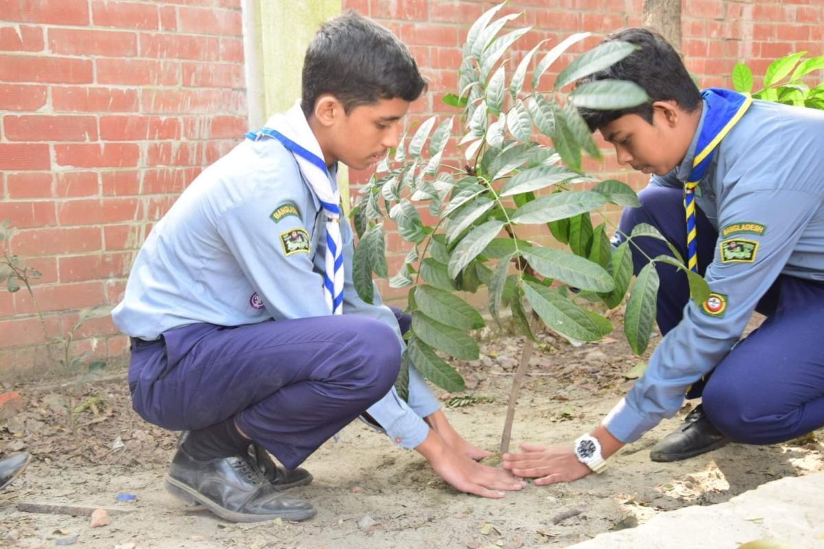 Tree Plantation Programme