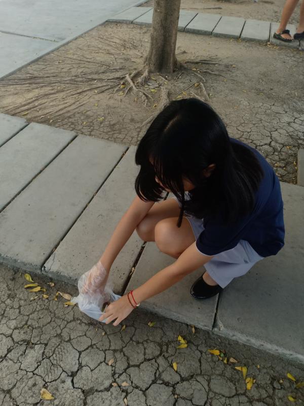 กิจกรรมวันพ่อแห่งชาติ
