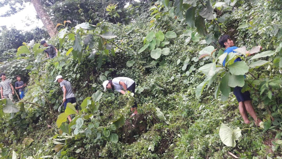 Voluntary service at Threlma Lhakhang