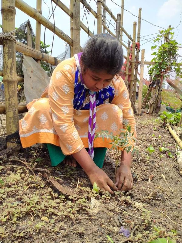 বৃক্ষ রোপন 