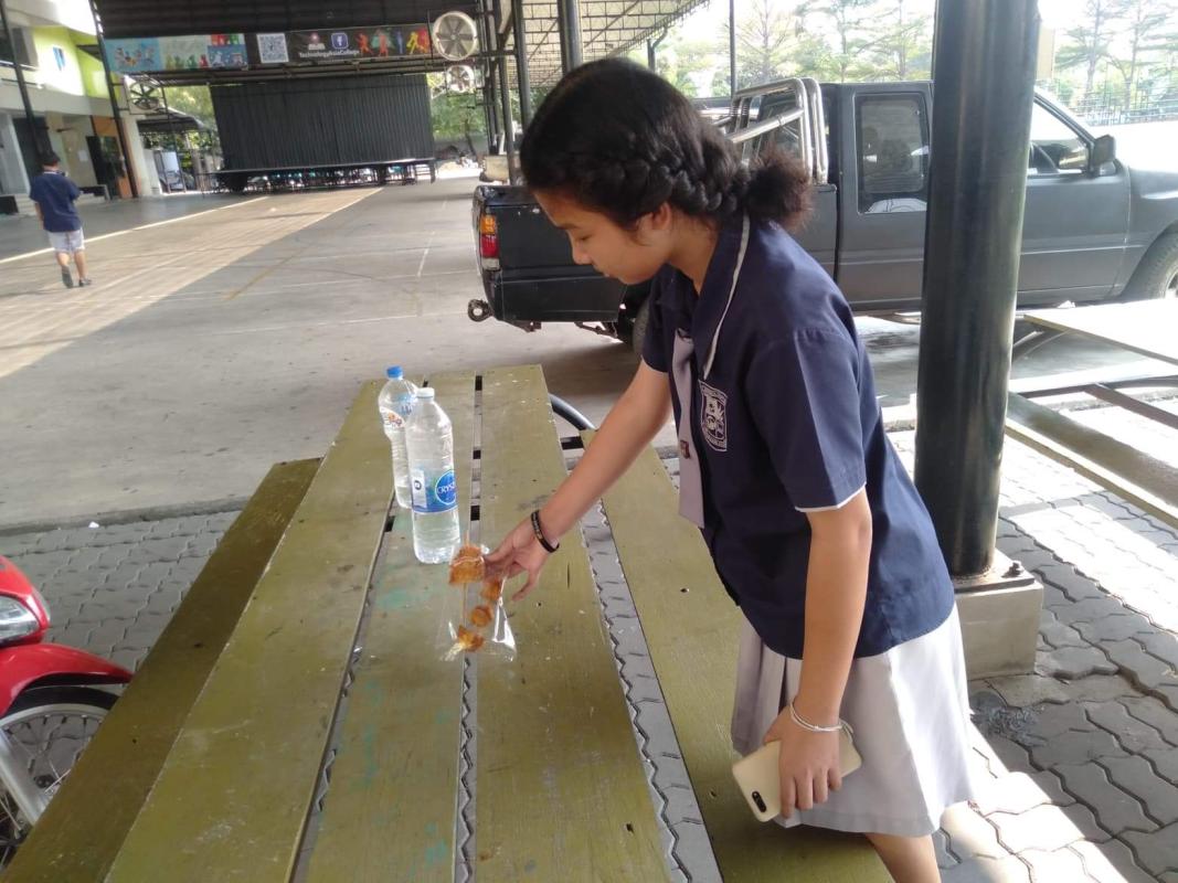 เก็บขยะในสถานศึกษา