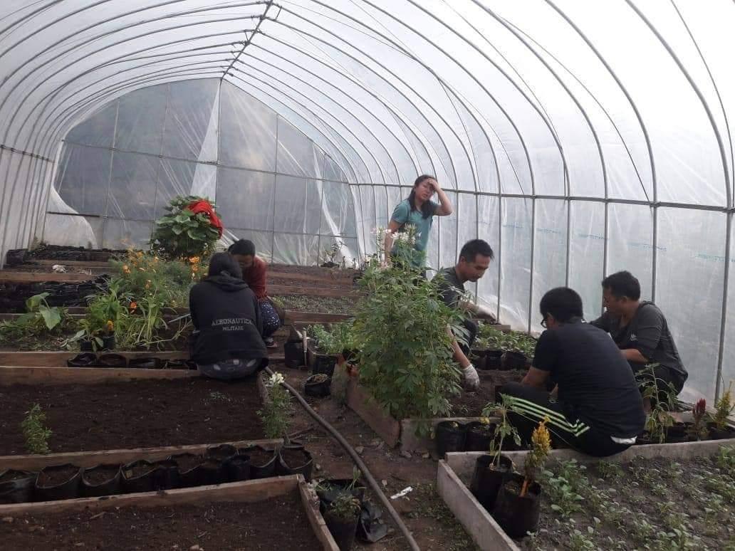 Maintaining the green house