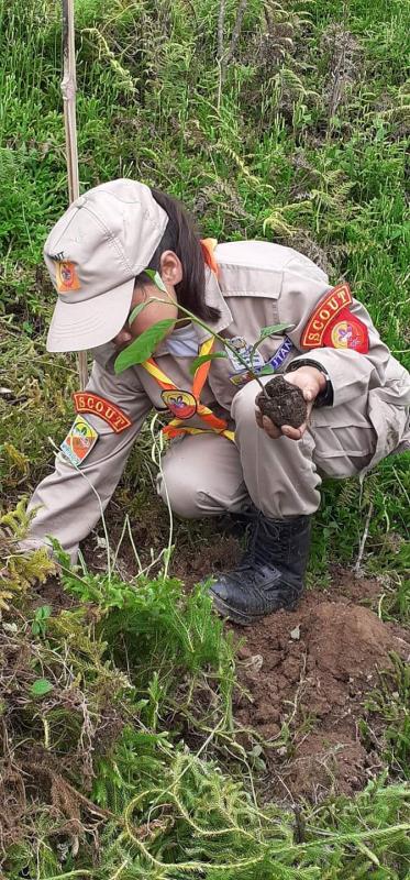 Observed June 2nd "Forestry Day"