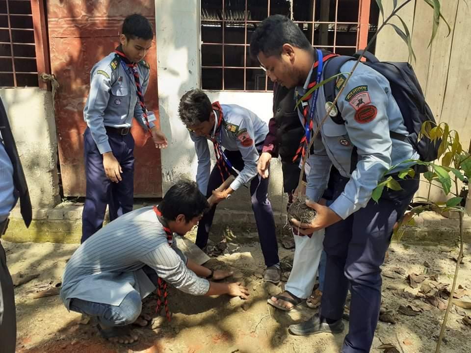 বৃক্ষরোপণ কর্মসূচি 