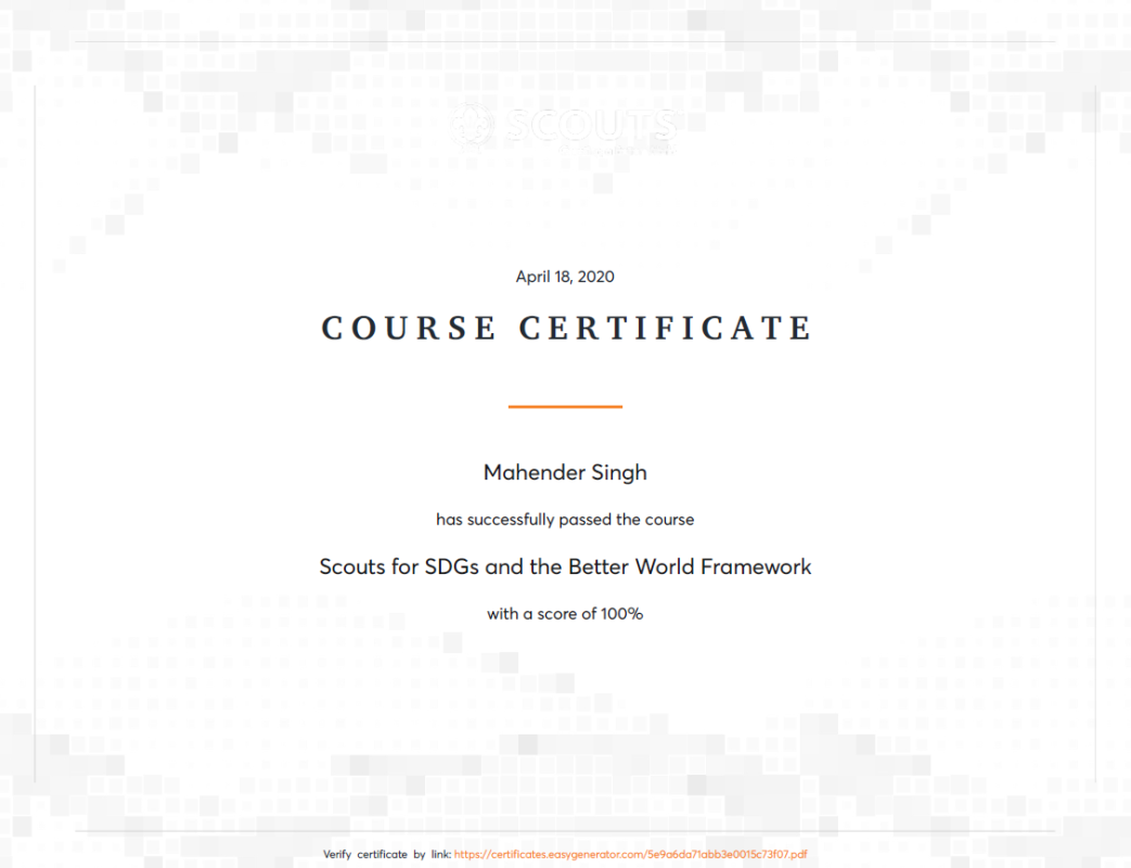 Scouts for SDGs and Better World Framework certificate