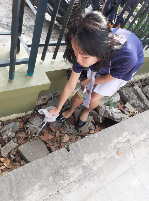 เก็บขยะตรงถนนบำเพ็ญประโยชน์ถนน