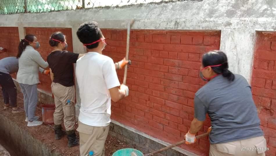 white washing the walls