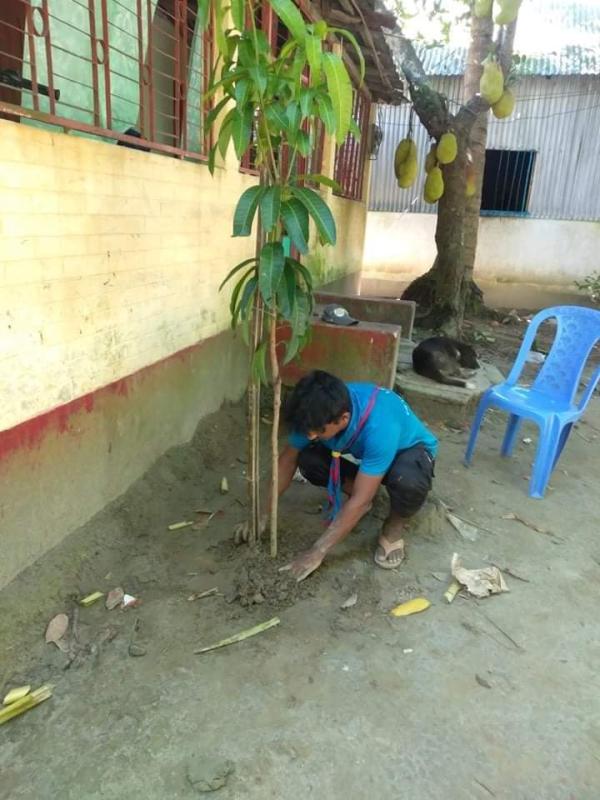 বৃক্ষ রোপণ 