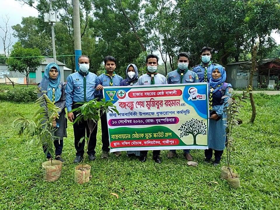 Tree plantation on the Pandamic