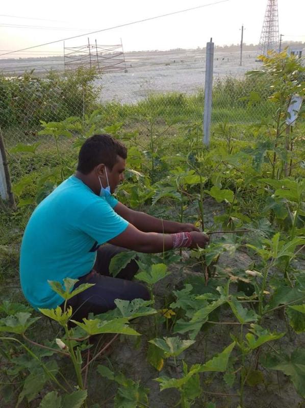 গার্ডেন পরিচর্চা