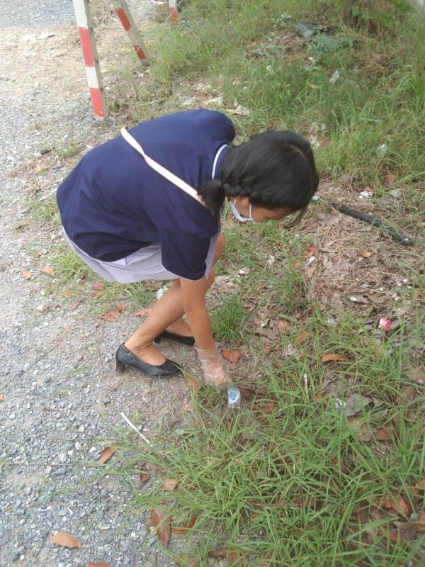 กิจกรรมเก็บขยะ