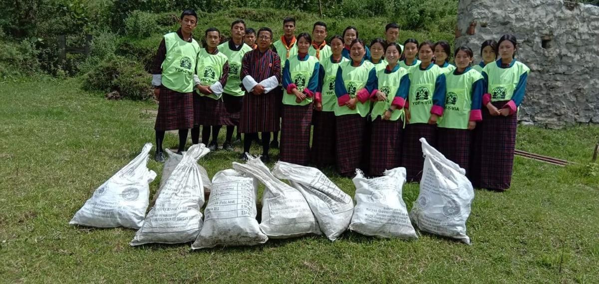 Clean the environment 