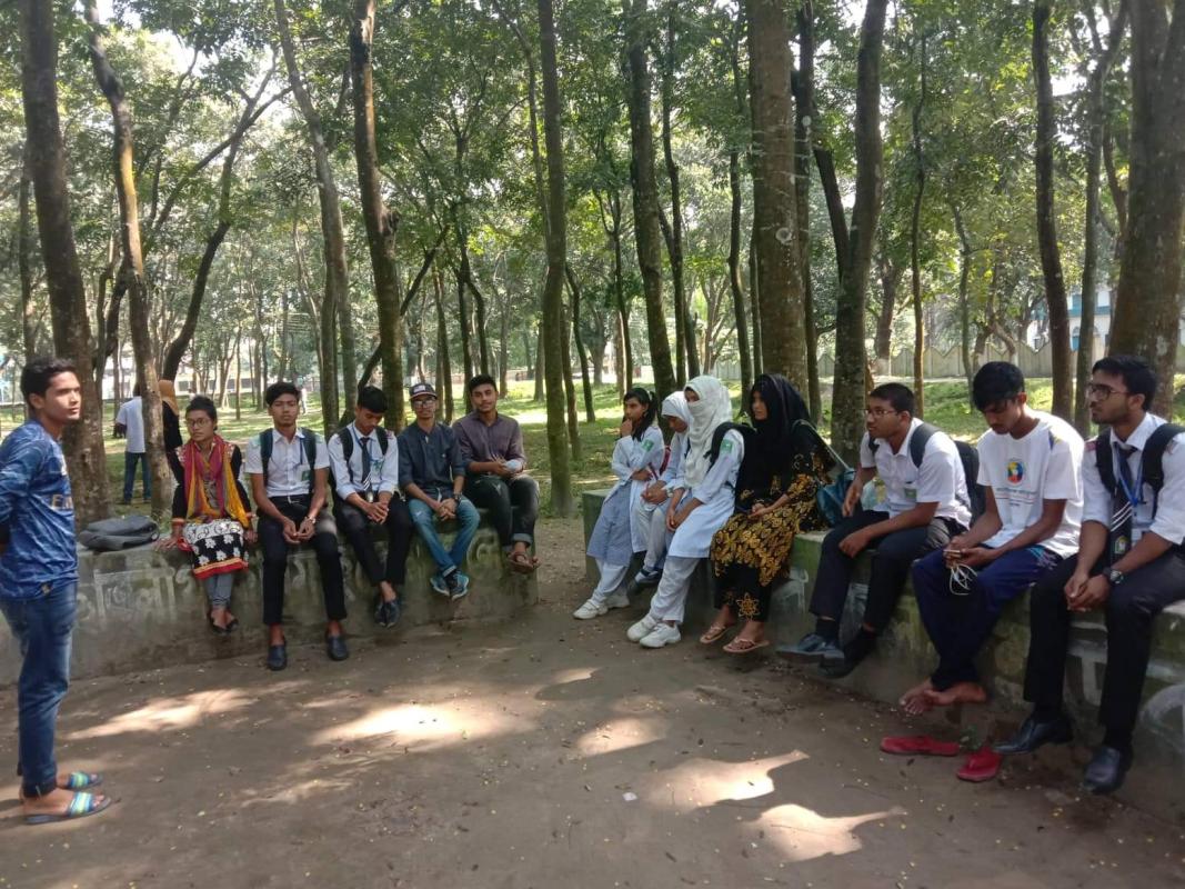 Discussion about tree plantation