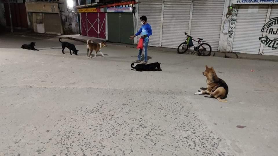 বেওয়ারিস কুকুর দের খাবার বিতরন