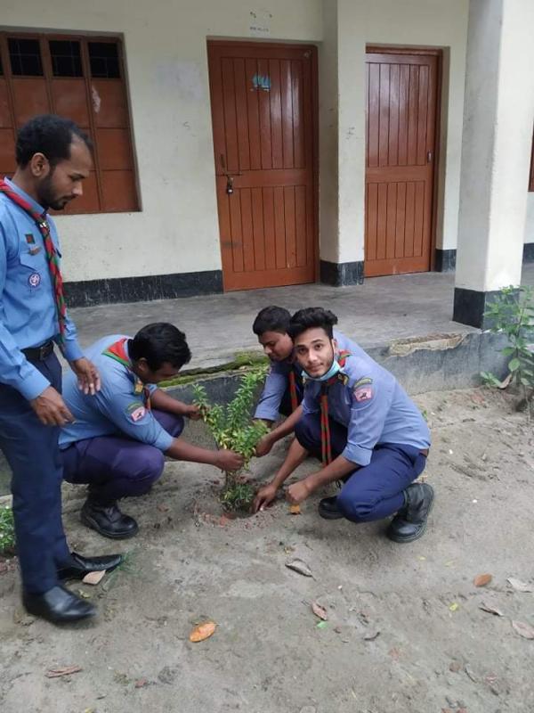 গাছ লাগানো কর্মসূচি