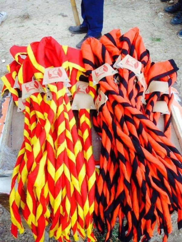 Investiture Programme 2017